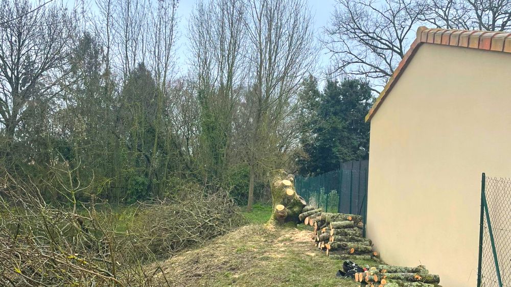 Poitiers - Chatillon sur thouet - abattage frêne 2021 - 3.png