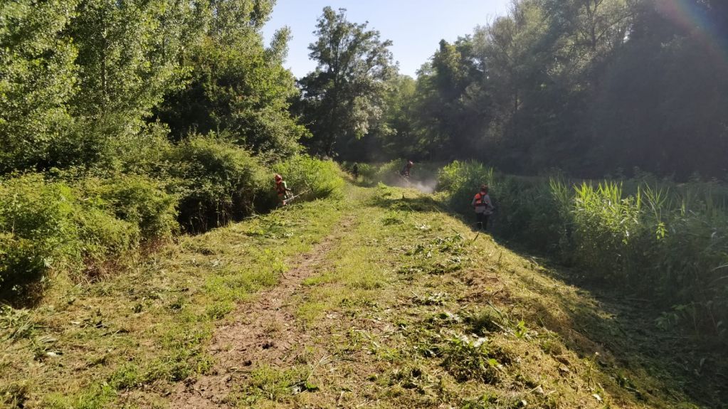 débroussaillage poitiers .jpeg