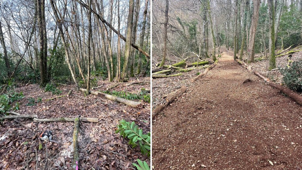 Poitiers - Création d’un sentier pédestre à Cerelles (37).jpg